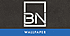 BN International