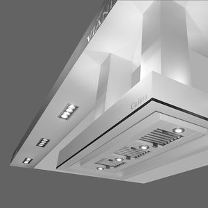 campana extractora de techo / profesional