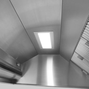campana extractora profesional