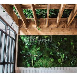 muro vegetal estabilizado / de panel modular / biológico / de interior