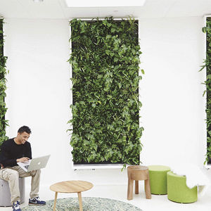 muro vegetal estabilizado / de panel modular / biológico / de interior