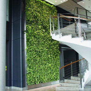 muro vegetal estabilizado / biológico / de interior / de exterior