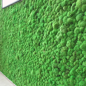 muro vegetal estabilizado / musgo / de interior / acústico
