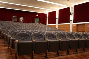 sillón de auditorio / de cine / moderno / de espuma
