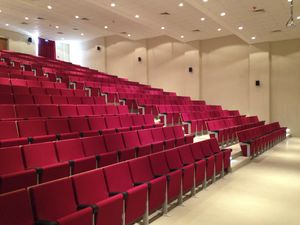 sillón de auditorio / de cine / moderno / de espuma