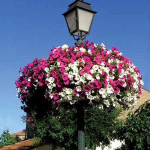 jardinera de polietileno / moderna / para espacio público