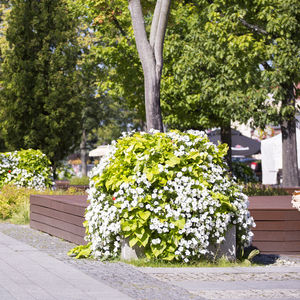jardinera de acero galvanizado / redonda / moderna / para espacio público
