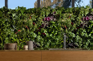 muro vegetal de interior / de exterior / con estructura modular