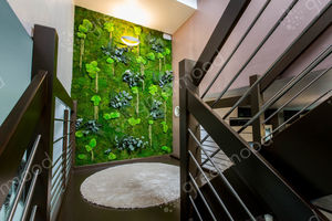 muro vegetal estabilizado / de interior
