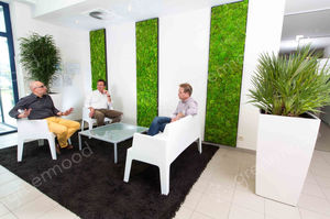 muro vegetal estabilizado / de interior