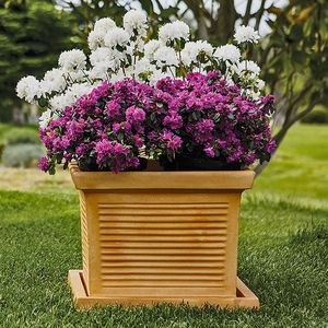 jardinera de polietileno / cuadrada / clásica