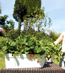 jardinera de polipropileno / rectangular / moderna