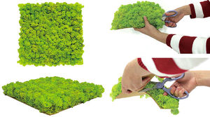 muro vegetal estabilizado / de panel modular / a medida / musgo