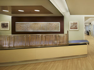 panel decorativo de resina / para tabique / ecoetiqueta GreenGuard® / con implante de planta natural
