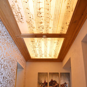 techo tensado decorativo / luminoso / impreso