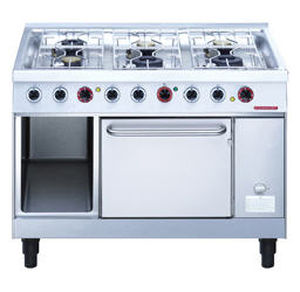 cocina con horno de gas / profesional