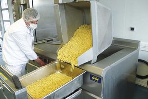 cocedor eléctrico / de pasta / de arroz / profesional