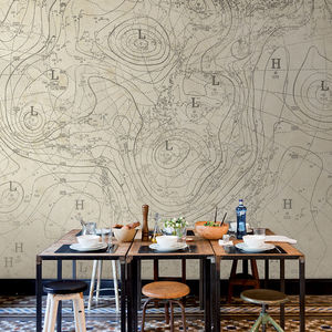 papeles pintados clásicos / mapa / sin tejer / impresos