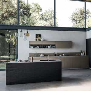 cocina moderna / de madera / de vidrio / con isla