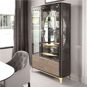 vitrina moderna / de vidrio / de madera / con luz