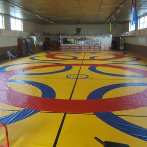 tatami para gimnasios