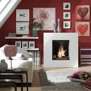 chimenea de bioetanol / moderna / hogar abierto / central