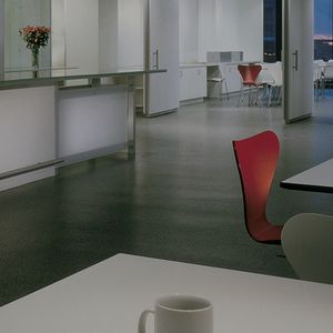 pavimento de caucho / para hospital / para centro sanitario / profesional