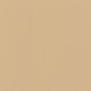 pavimento de vinilo / para sala de danza / en rollo / liso