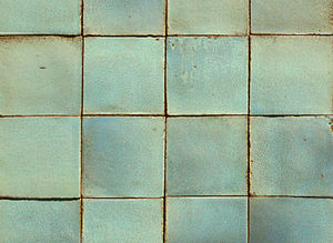 baldosa de interior / para piscina / para suelo / de terracota