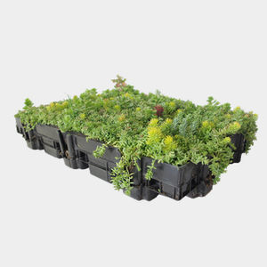 kit para cubierta vegetal