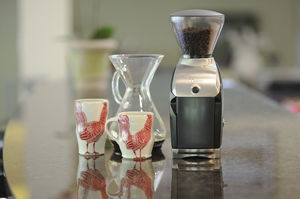 molinillo de café profesional