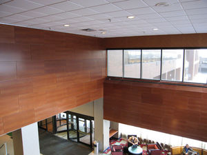 panel decorativo de pared / de madera / de fibra de madera / liso