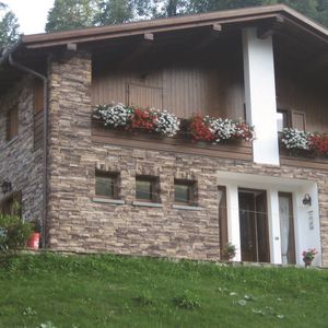 fachaleta de hormigón / de exterior / interior / texturada