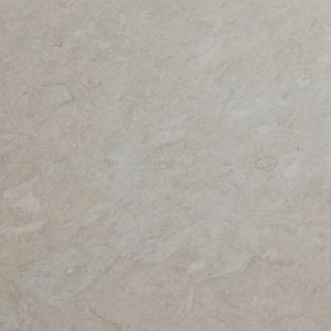 baldosa de interior / de exterior / de pared / de suelo