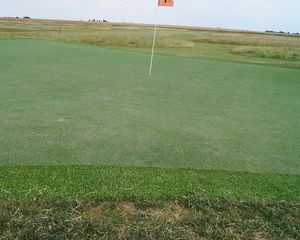 césped sintético / en rollo / para campo deportivo