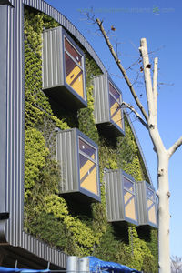 fachada vegetal de exterior / vegetal