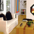 chimenea de doble cara / de leña / hogar cerrado / contemporáneos - OCTUOR