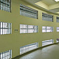 panel de policarbonato aislantes para tejado / con protección UV - PALGARD™
