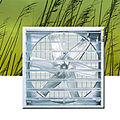 ventilador con balón para la extracción de litiasis / axiales - HJB MANN HJB 80 - HJB 120