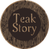 TEAK STORY - logo