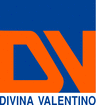 DIVINA VALENTINO - logo