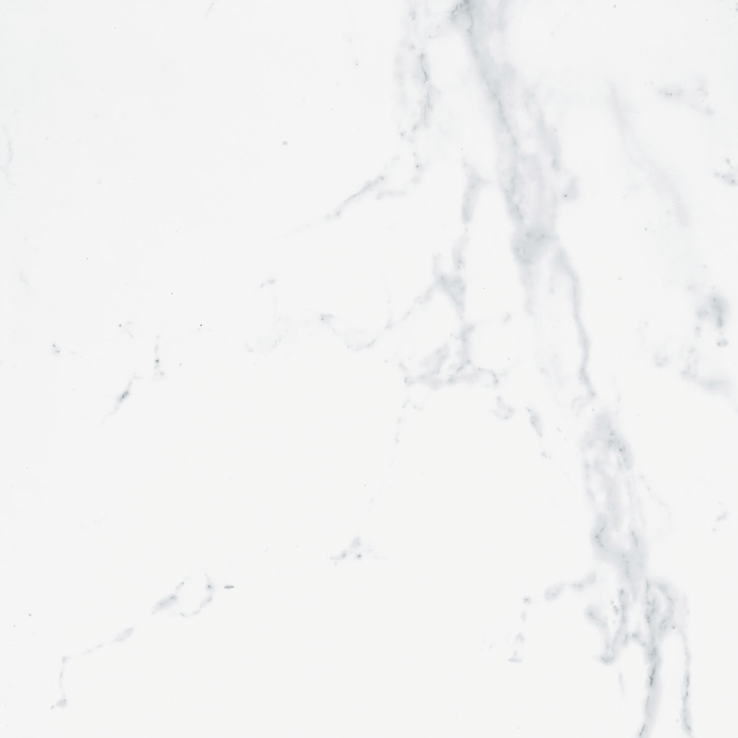 Baldosa de interior - CARRARA BLANCO - PORCELANOSA - de pared / de