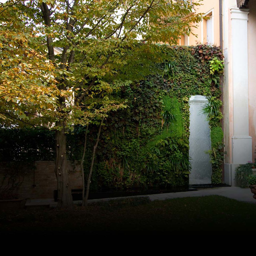 Muro vegetal de plantas naturales - SUNDAR ITALIA - biológico / musgo