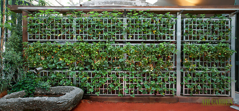 Enrejado para muro vegetal - AG3 POSTMUR-POSTDIV - AIR GARDEN - de