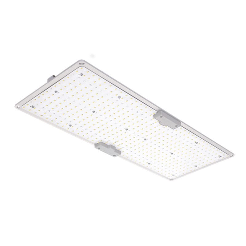 Proyector IP65 LGLBO kindom optoelectronic co.,ltd LED