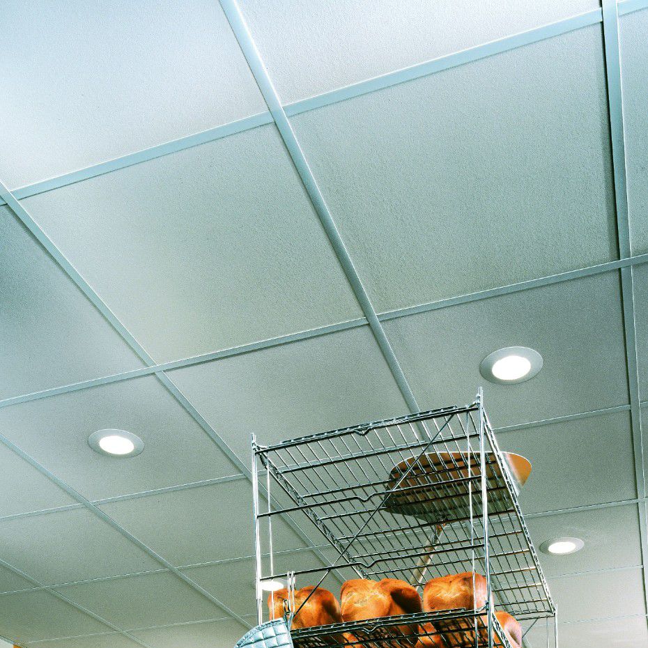 Falso techo de yeso - SHEETROCK® BRAND CLEAN ROOM - USG - en losas