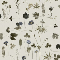 Papel pintado contemporáneo / de flores
