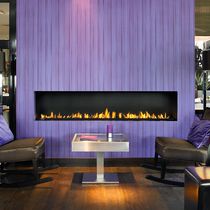 Chimenea de gas / contemporánea / hogar...