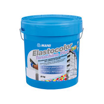 Enlucido de protección / decorativo / de...
