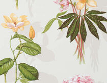 Papel pintado clásico / con motivos florales
